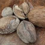 A nice bunch of coconuts